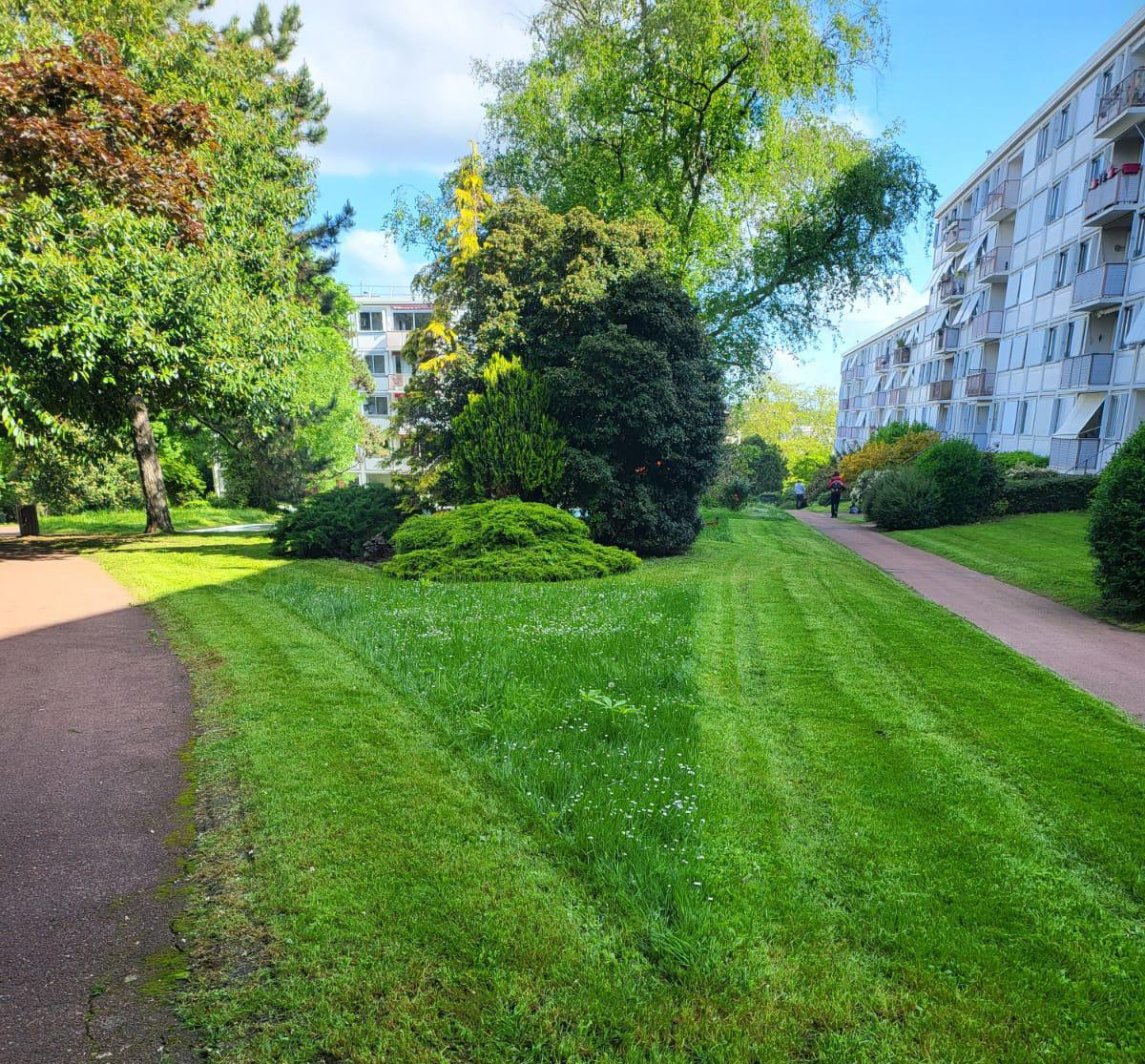 tonte espace vert yvelines